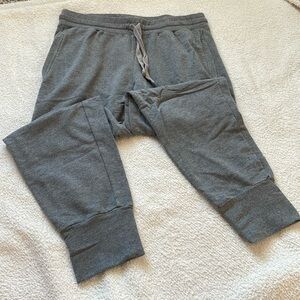 Fabletics jogger pants